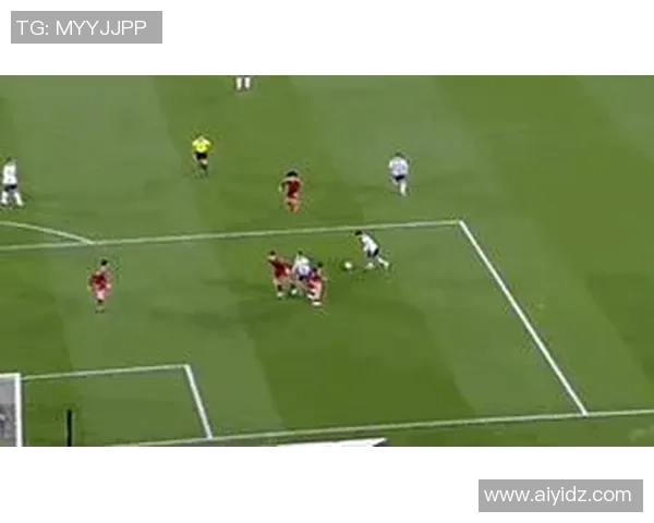 足球界的老虎是谁 网友热议球星背后的传奇故事 足球界的老虎是谁 网友热议球星背后的传奇故事